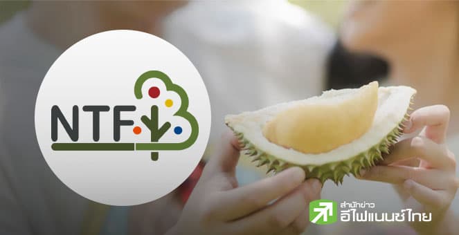 NTF เปิดเทรดวันแรก 8.50 บ./หุ้น ยืนเหนือจอง 41.66% จากราคาไอพีโอ 6 บ./หุ้น